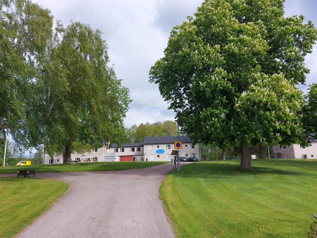 Hammaroe Vandrarhem Extérieur photo